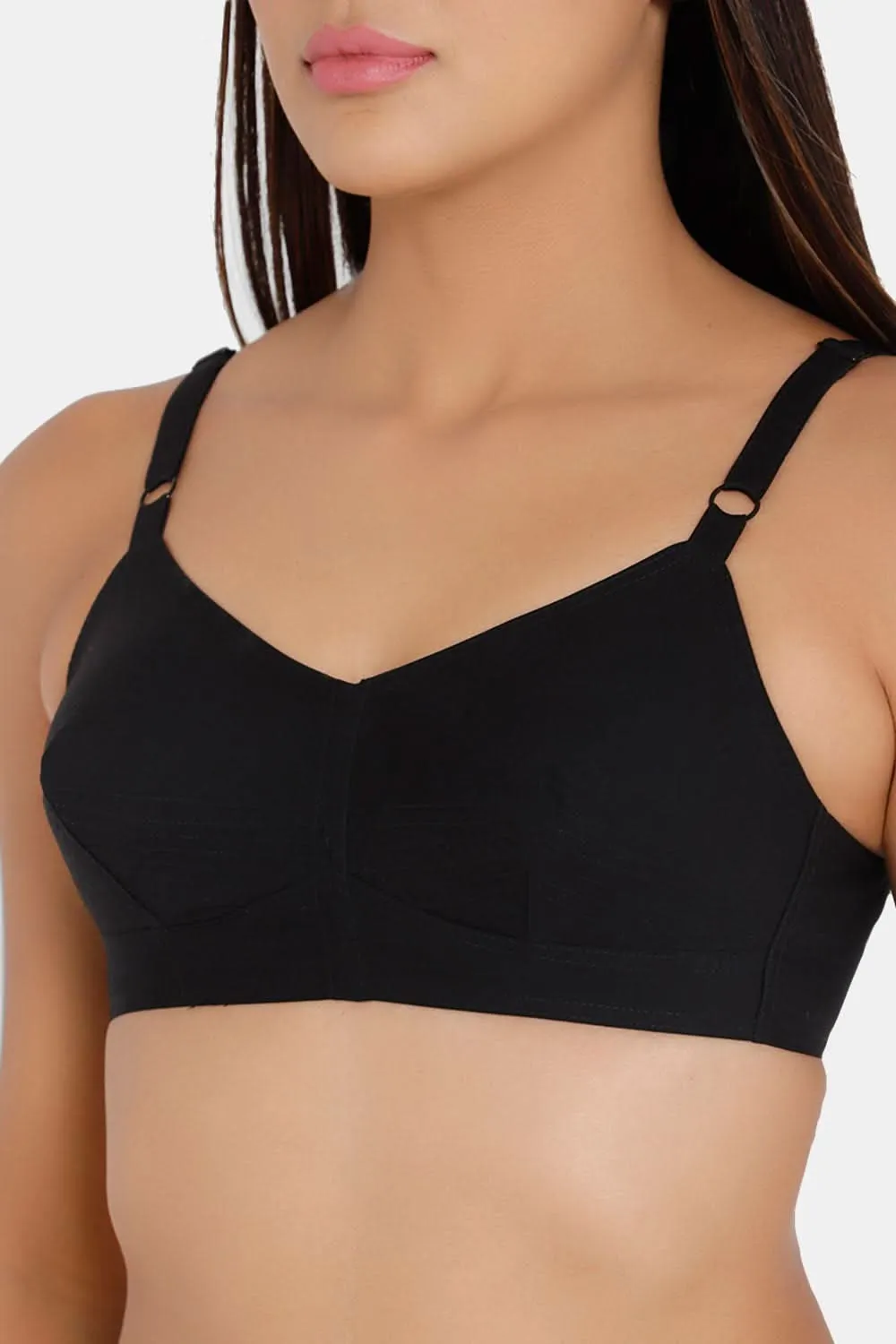 Naidu Hall Heritage-Bra Special Combo Pack - E-SB - C63